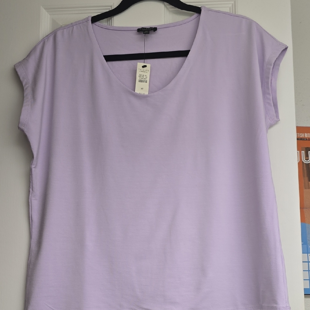 Talbot Lavender Cap Sleeve Blouse